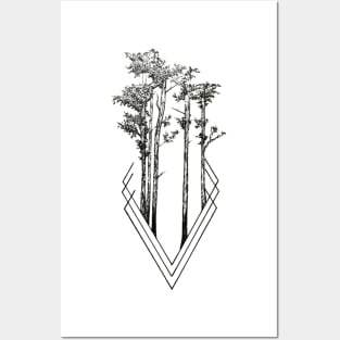 Daily Forest Posters and Art